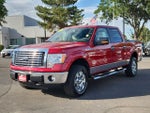 2010 Ford F-150 XL