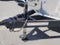 2025 Novae Trailer Pace American Outback DLX